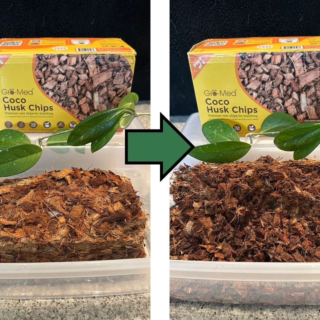 coco chips potting mix High-Quality Coco Husk Chips Brick 2s for Growing Orchids – Gro-Med
