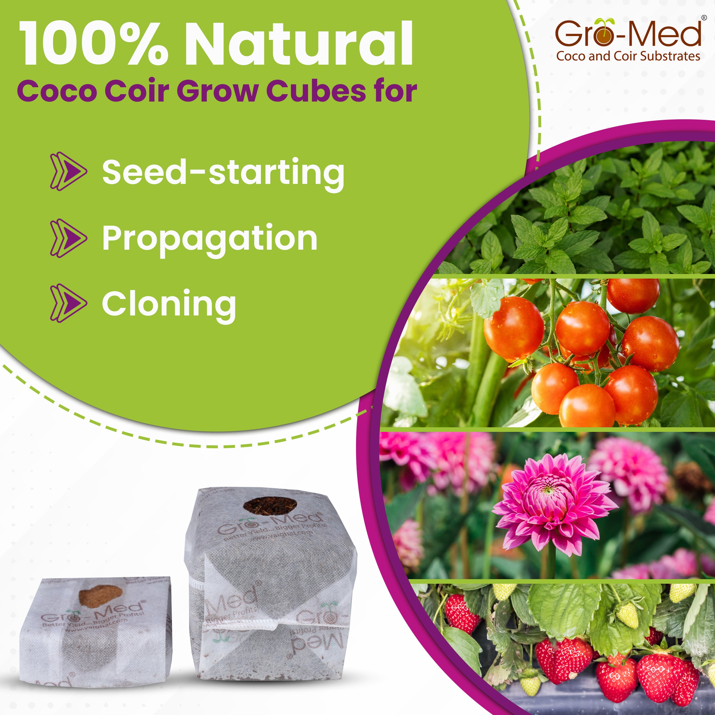 Coir Grow Cubes Enriched with Plant Food Pack of 10
